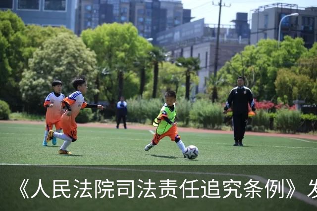 《人民法院司法责任追究条例》发布，明确司法追究范围处理方式等