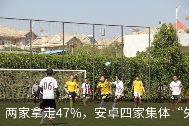 两家拿走47%，安卓四家集体“失血”：手机市场变成两个人的游戏