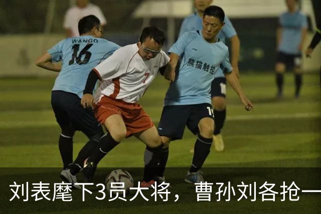 刘表麾下3员大将，曹孙刘各抢一个，刘抢得最猛，孔明也十分忌惮！