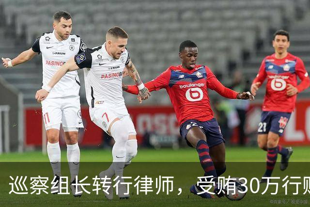 巡察组长转行律师，受贿30万行贿145万，被判4年半