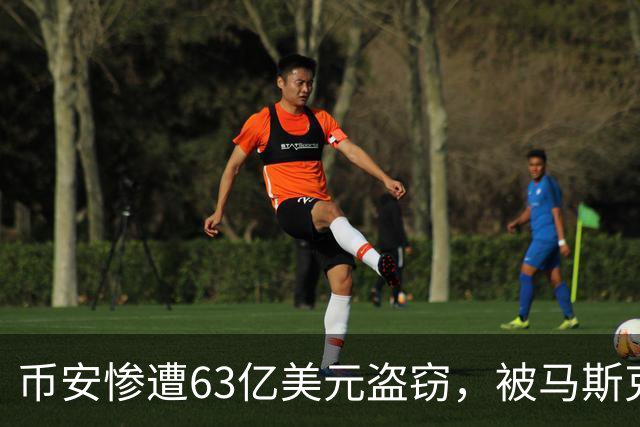 币安惨遭63亿美元盗窃，被马斯克嘲笑，赵长鹏气坏了：我当年投资支持了你