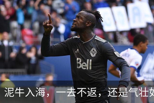 泥牛入海，一去不返，还是气壮如牛，卷土重来？这些新星给出了答案