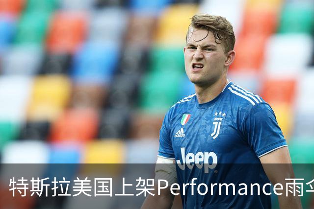 特斯拉美国上架Performance雨伞：48英寸黑色伞面
