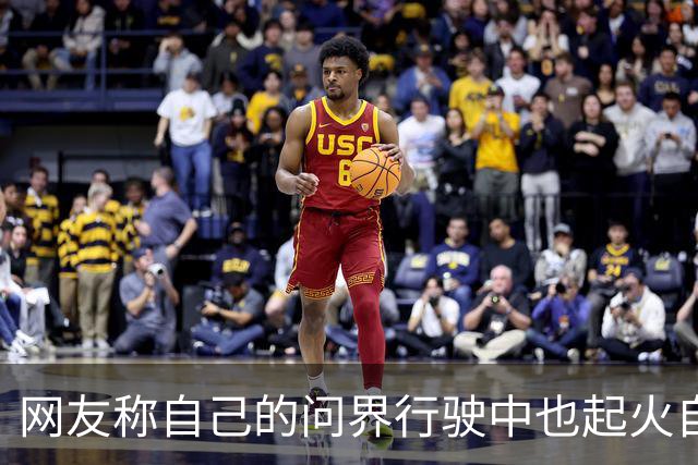 网友称自己的问界行驶中也起火自燃，起火原因还匪夷所思