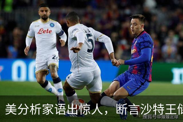美分析家语出惊人，断言沙特王储 "必然垮台"，最坏结果恐遭处决