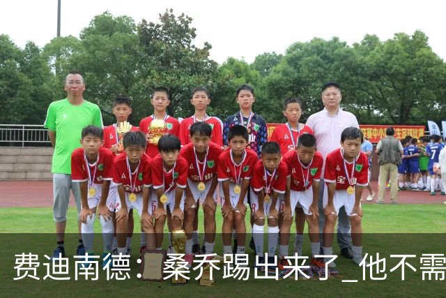 费迪南德：桑乔踢出来了 他不需要再与其他人竞争